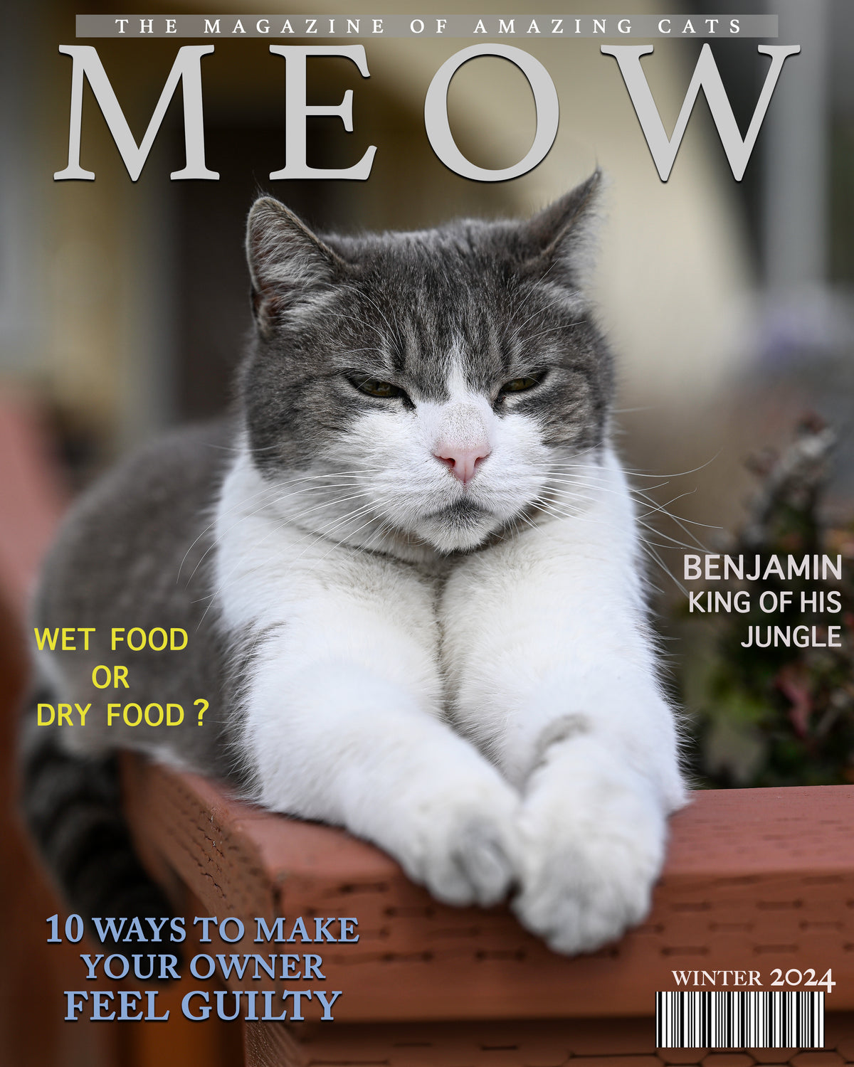 Meow Magazine Cover