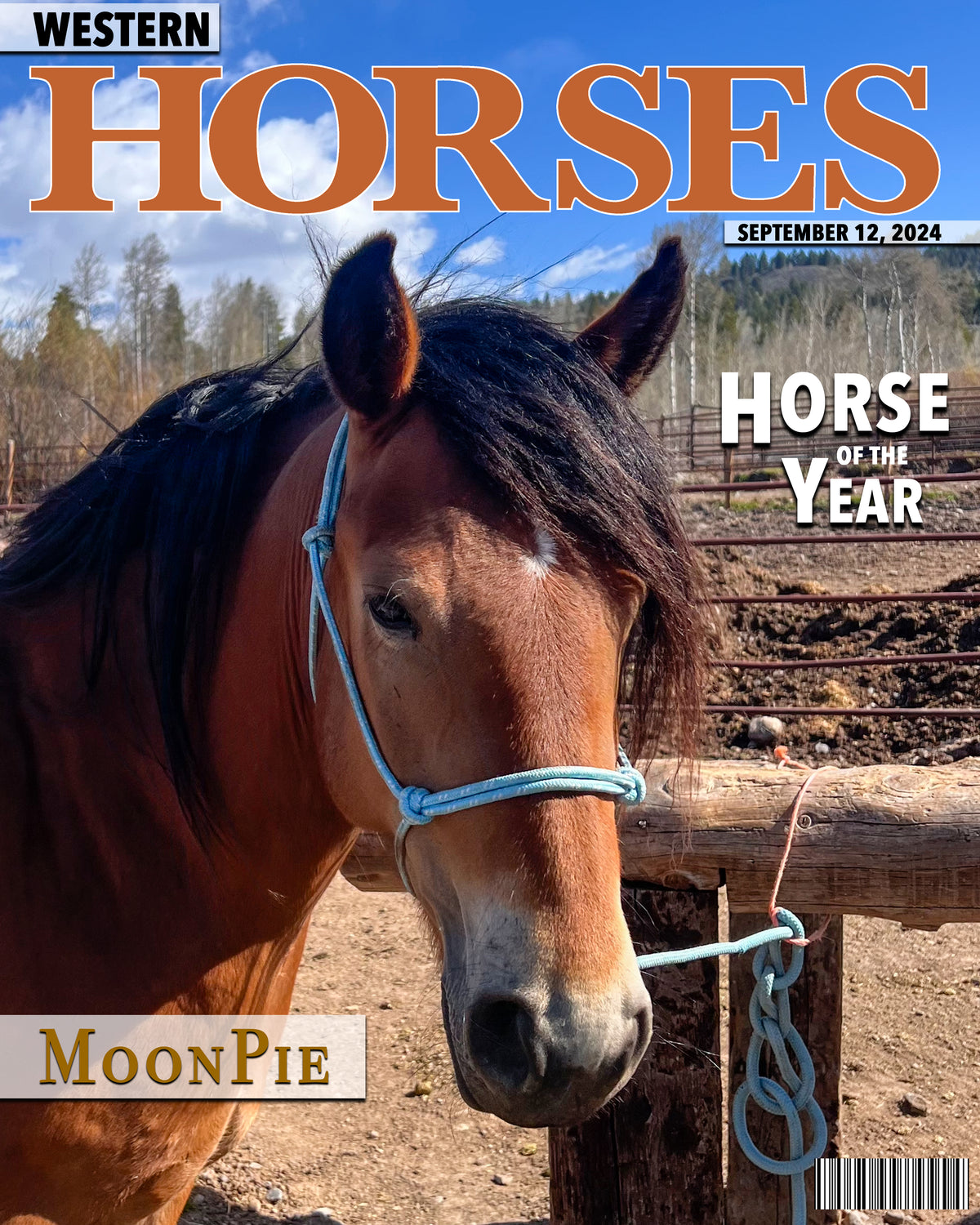 Magazine Cover - Western Horses