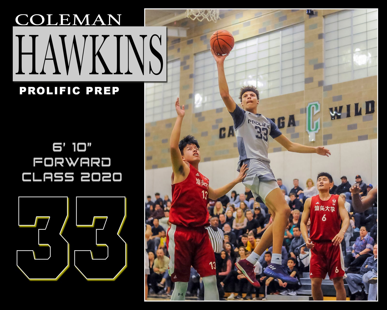 Coleman Hawkins Illinois